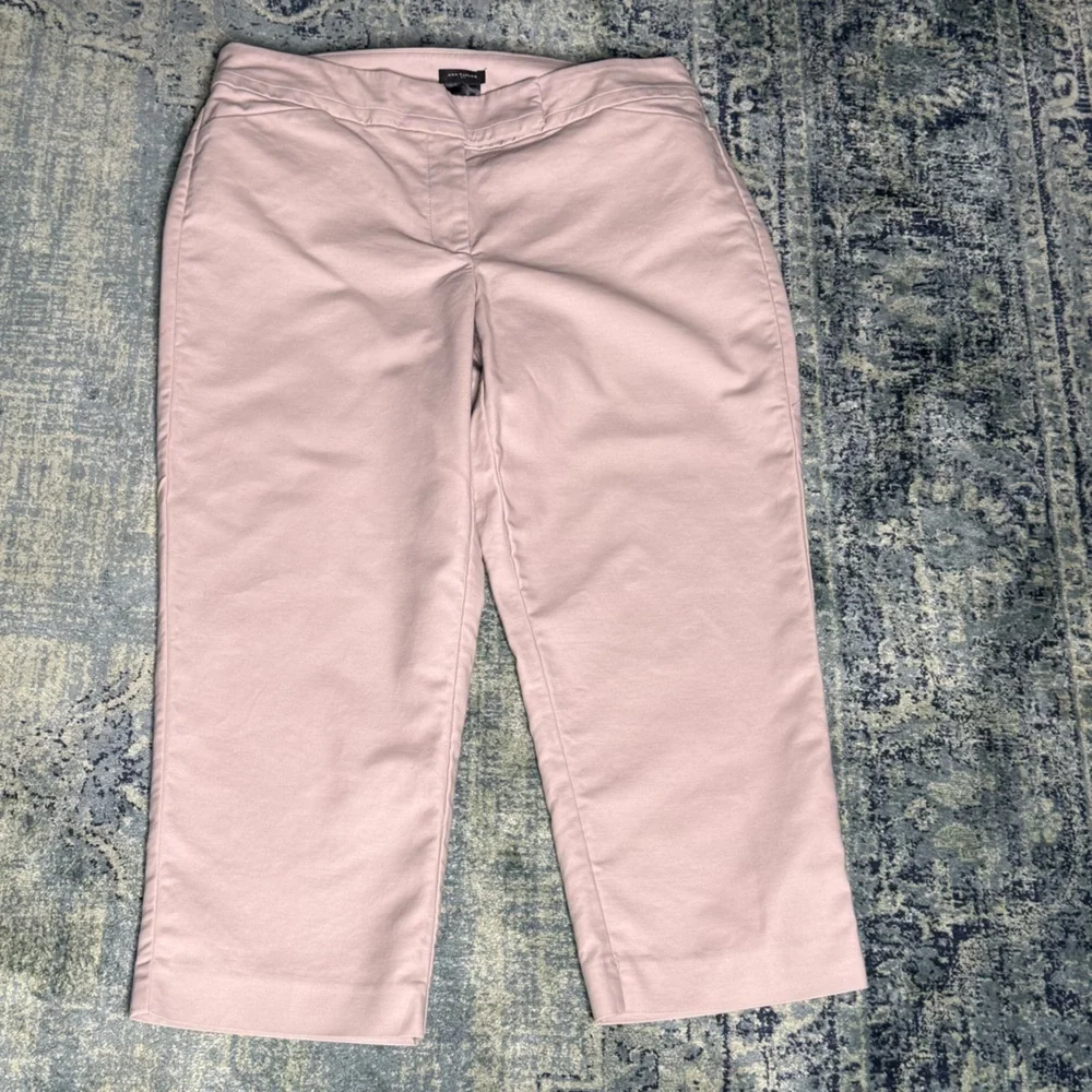 Ann Taylor Crop Pants 10